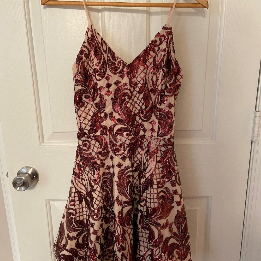 Beautiful Sequined Dress
